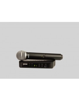 Shure BLX24/PG58