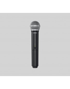 Shure BLX24/PG58