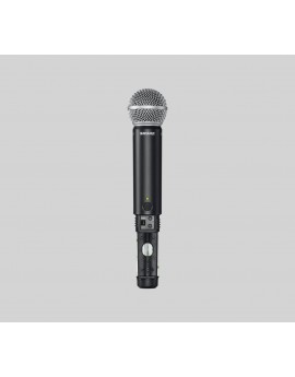 Shure BLX24R/SM58