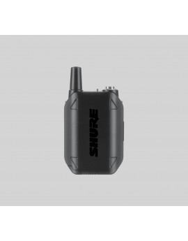 Shure GLXD14/SM31