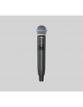 Shure GLXD24/B58A
