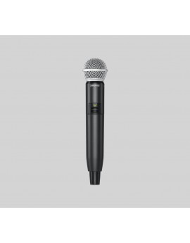 Shure GLXD24/SM58