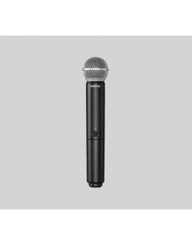 Shure BLX1288/SM31