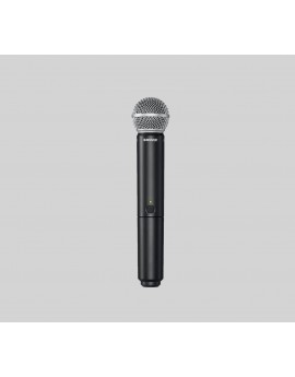 Shure BLX1288/SM58