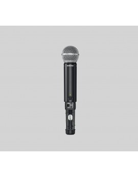 Shure BLX1288/SM58