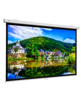PROJECTA ProScreen 240x154 High Contrast