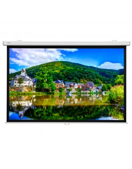 PROJECTA ProScreen 220x141 High Contrast