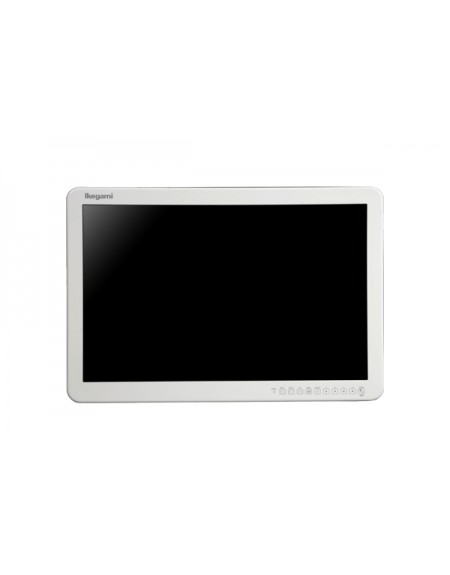 Monitor IKEGAMI MLW-2424C-DC