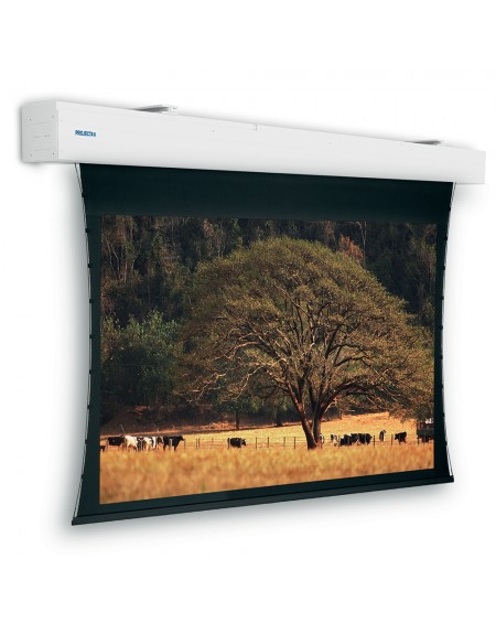 PROJECTA Tensioned Elpro Large Electrol 400x254 HD Prog. 1.1 Contrast