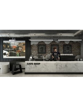 Projektor laserowy Optoma ZU500USTe