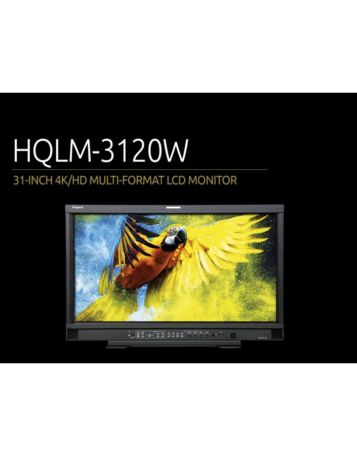 Monitor IKEGAMI HQLM-3120W