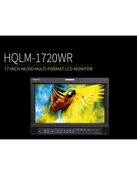 Monitor IKEGAMI HQLM-1720WR