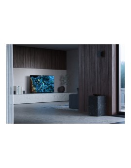 Monitor SONY FWD-55A80L