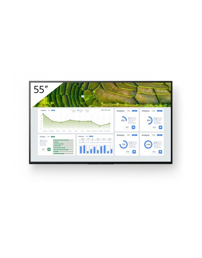 Monitor SONY FW-55BZ30L