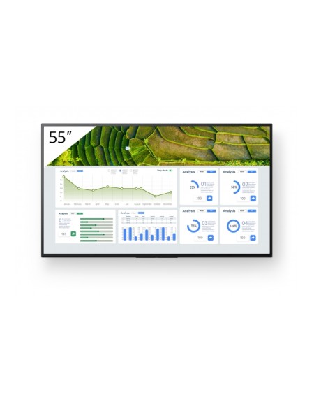 Monitor SONY FW-55BZ30L