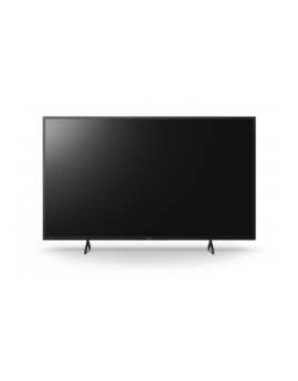 Monitor SONY FW-55EZ20L