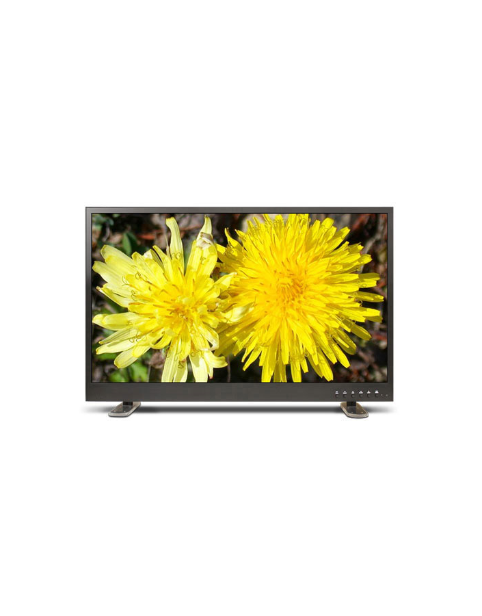 Monitor IKEGAMI ULE-315