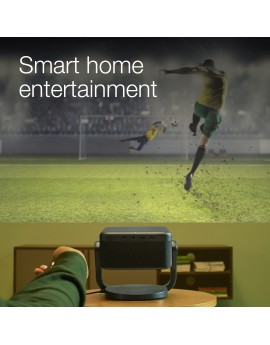 Projektor EPSON EF-22B